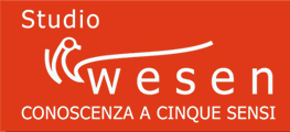 Studio Wesen - Entra nel sito